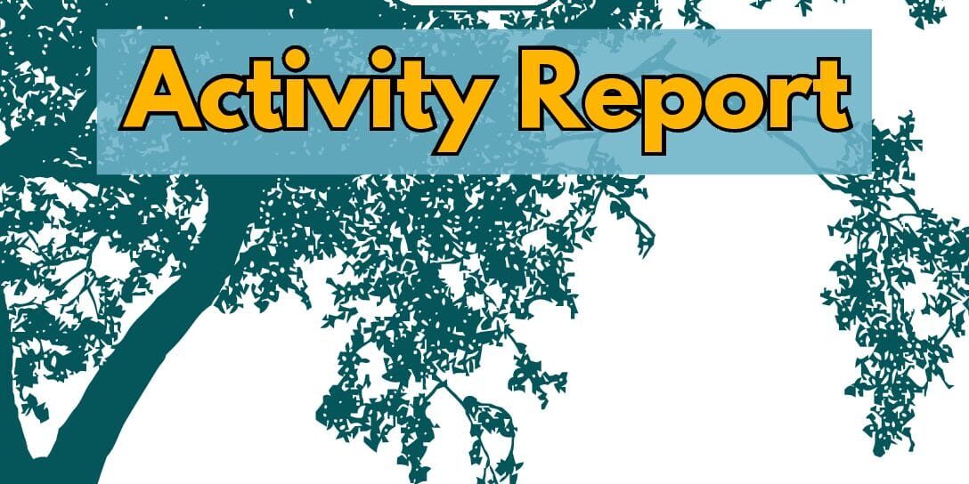 working.ORIGINAL-2024-2025-Activity-Report-1-pdf Literacy Quebec Activity Report 2024-2025 cover with tree silhouette and inspirational quote about societal growth.